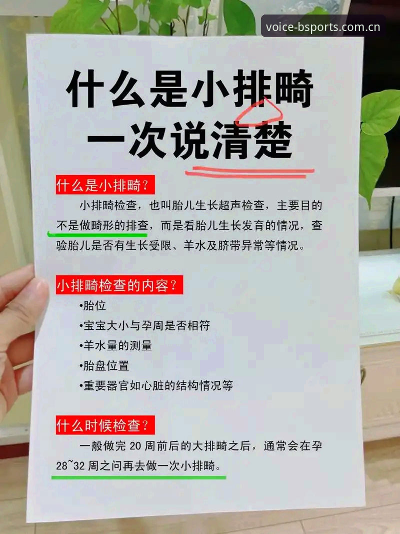 B体育中国首页功能详解 B体育中国首页功能详解:从入口到数据,一次说清楚